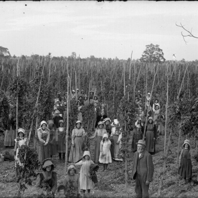 The Barley Days to Baco Noir: A History of Wine & Spirits in PEC